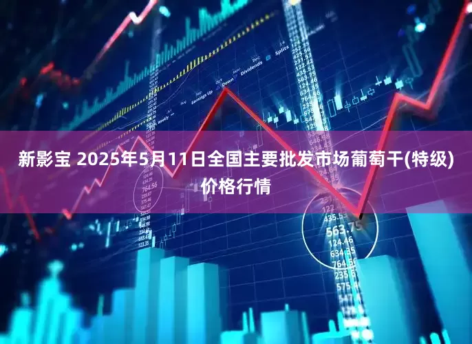 新影宝 2025年5月11日全国主要批发市场葡萄干(特级)价格行情