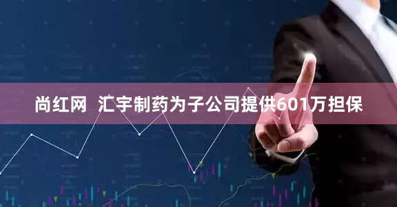 尚红网  汇宇制药为子公司提供601万担保